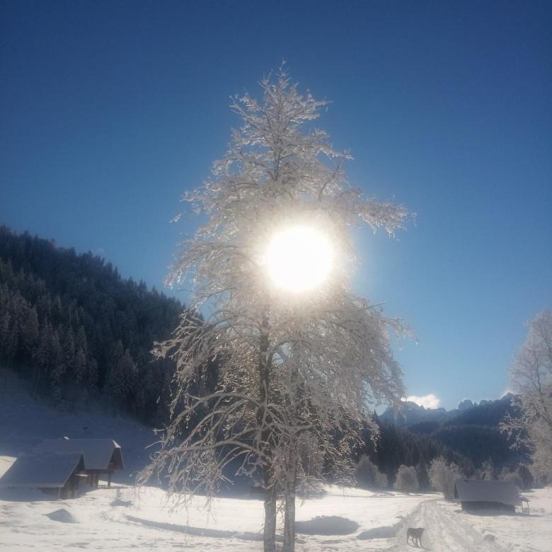 Huatscher Camporosso  Экстерьер фото